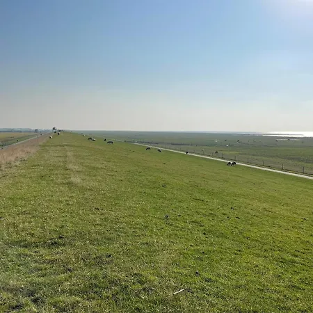 Apartament De Hahnpoten *