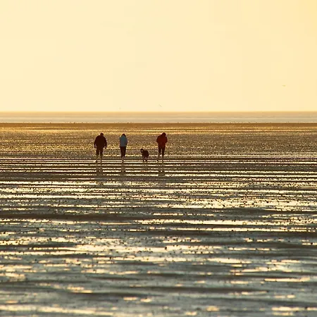 De Hahnpoten Dorumer Neufeld