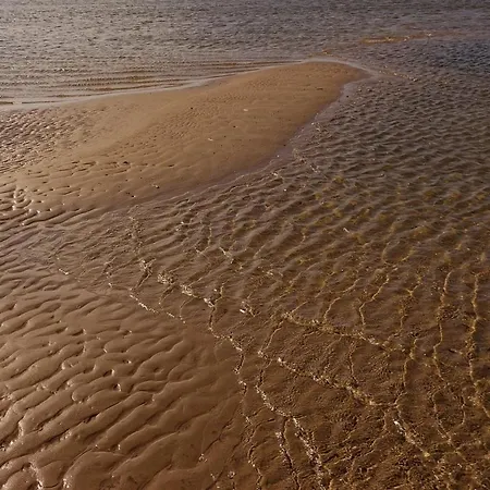 Apartament De Hahnpoten *