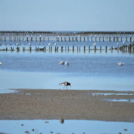 De Hahnpoten Διαμέρισμα Dorumer Neufeld