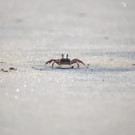De Hahnpoten Διαμέρισμα Dorumer Neufeld