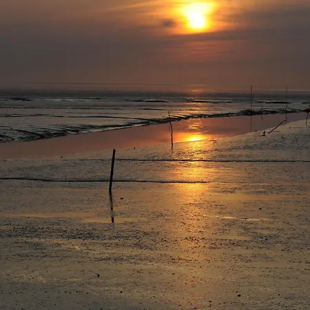 De Hahnpoten Dorumer Neufeld