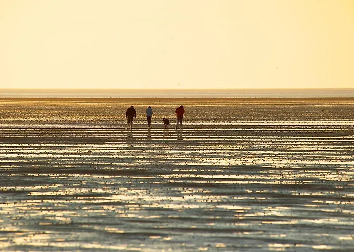 De Hahnpoten دورم نيوفيلد