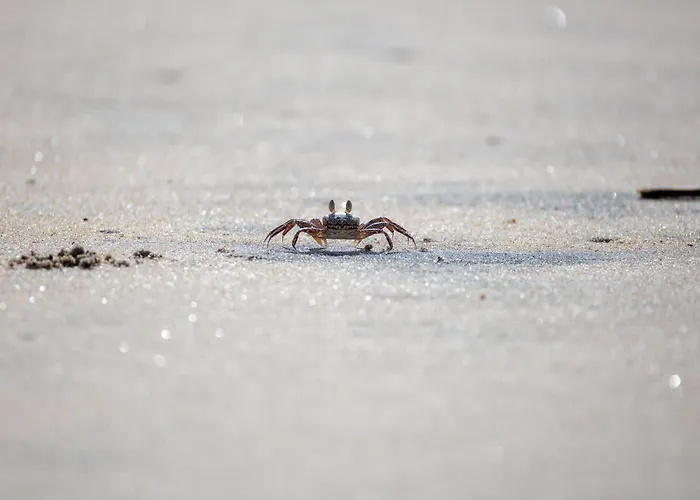 De Hahnpoten شقة دورم نيوفيلد