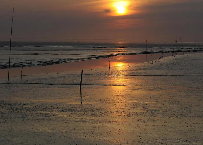 De Hahnpoten دورم نيوفيلد